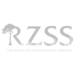 RZSS