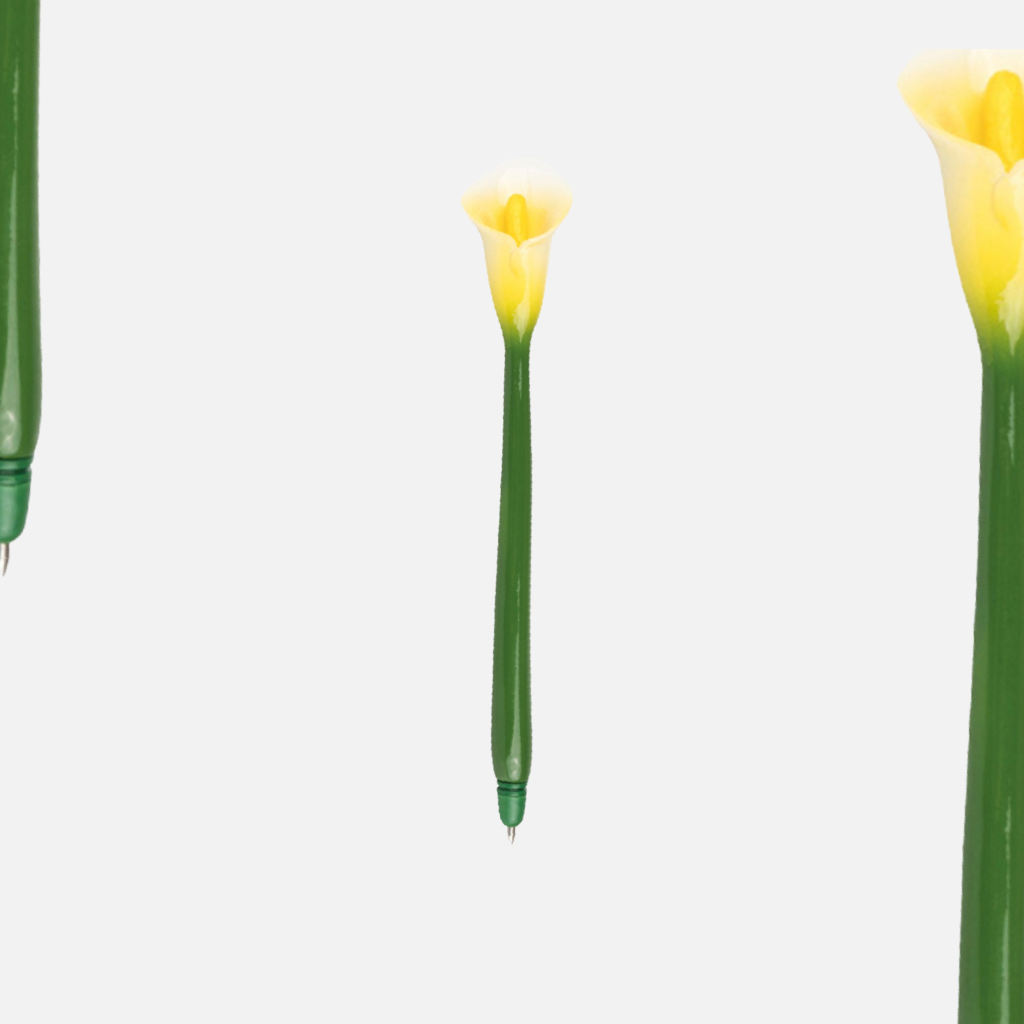 novelty garden category